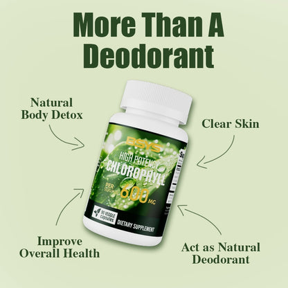 BSYS Chlorophyll Capsules  Fat Metabolism Support